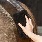 Spons QHP Equi Super Shiner Zwart