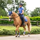 Sportshirt QHP Nyomi Paars