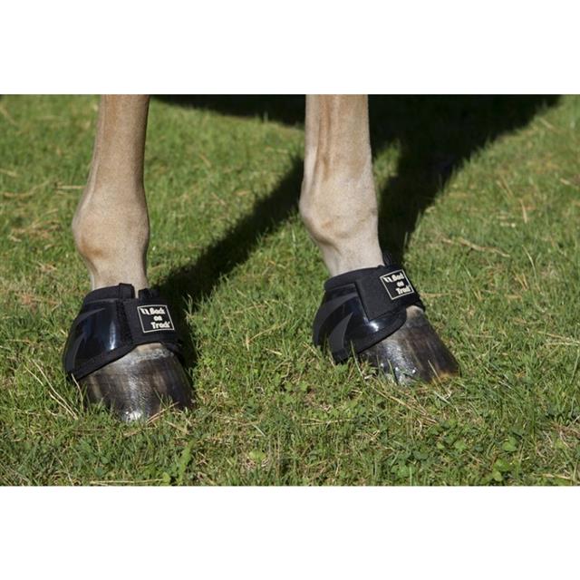 Springschoenen Back On Track Performance Zwart