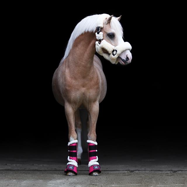 Springschoenen Horsegear Lieve Lichtroze