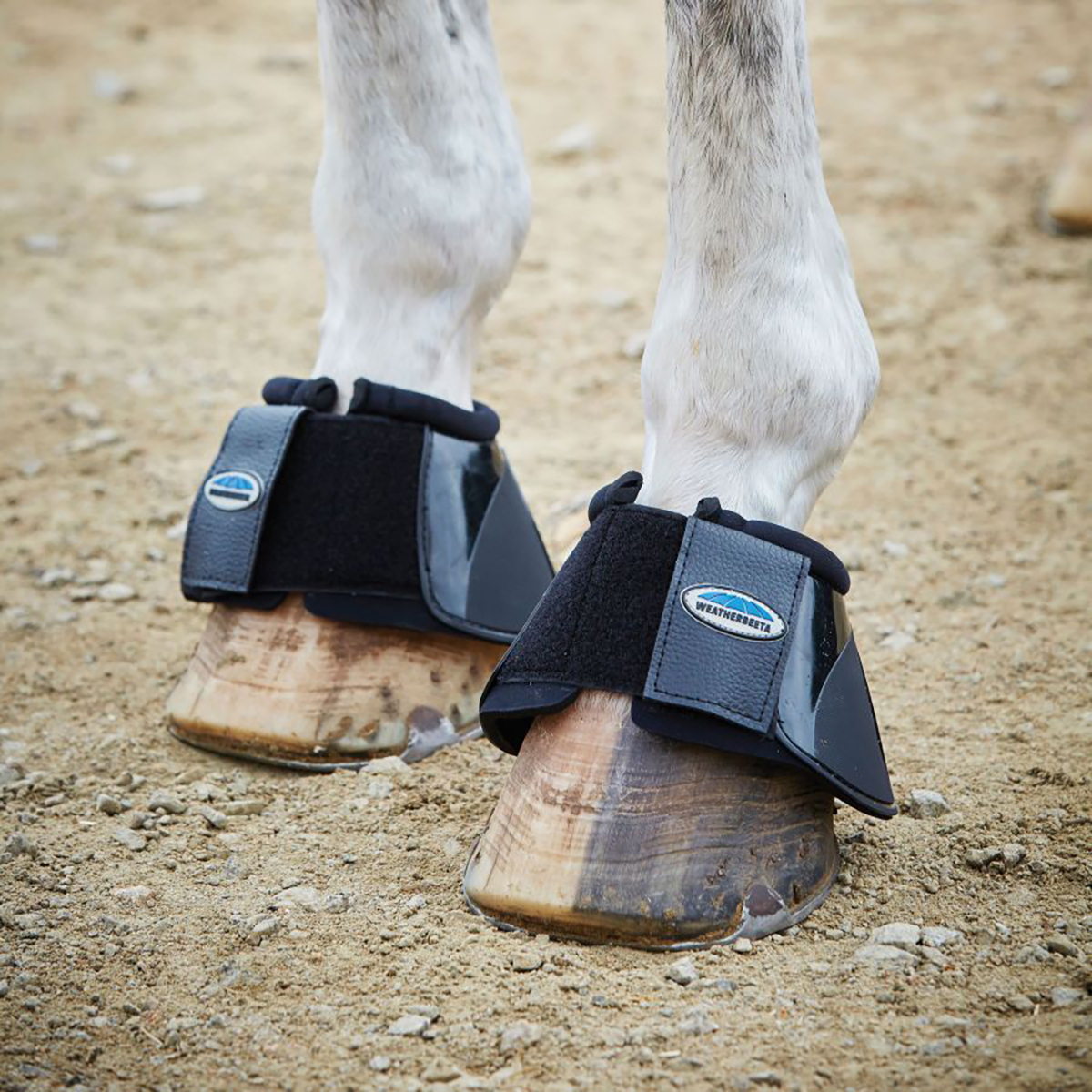 Springschoenen Weatherbeeta Impact Zwart, Paard in zwart