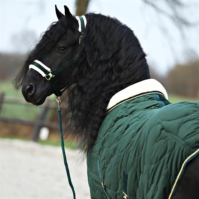 Staldeken Friesian Horse By Horsegear 160gr Donkergroen