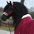 Staldeken Friesian Horse By HORSEGEAR 160gr Donkerrood