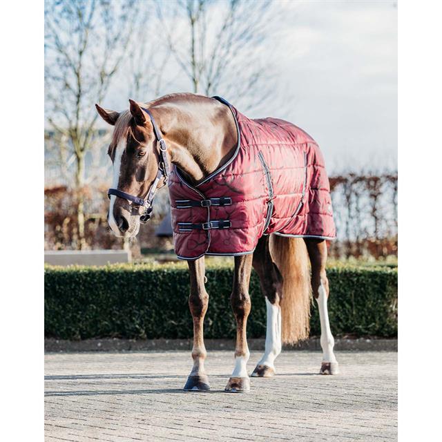 Staldeken QHP Collection 200gr Rood