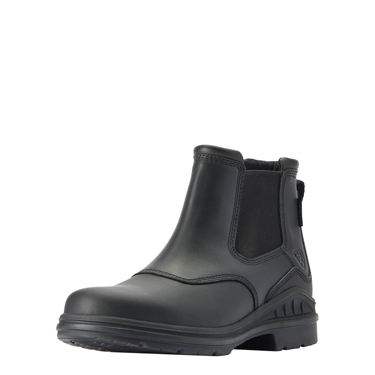 Stalschoenen Ariat Barnyard Twin Gore II Men Zwart Epplejeck