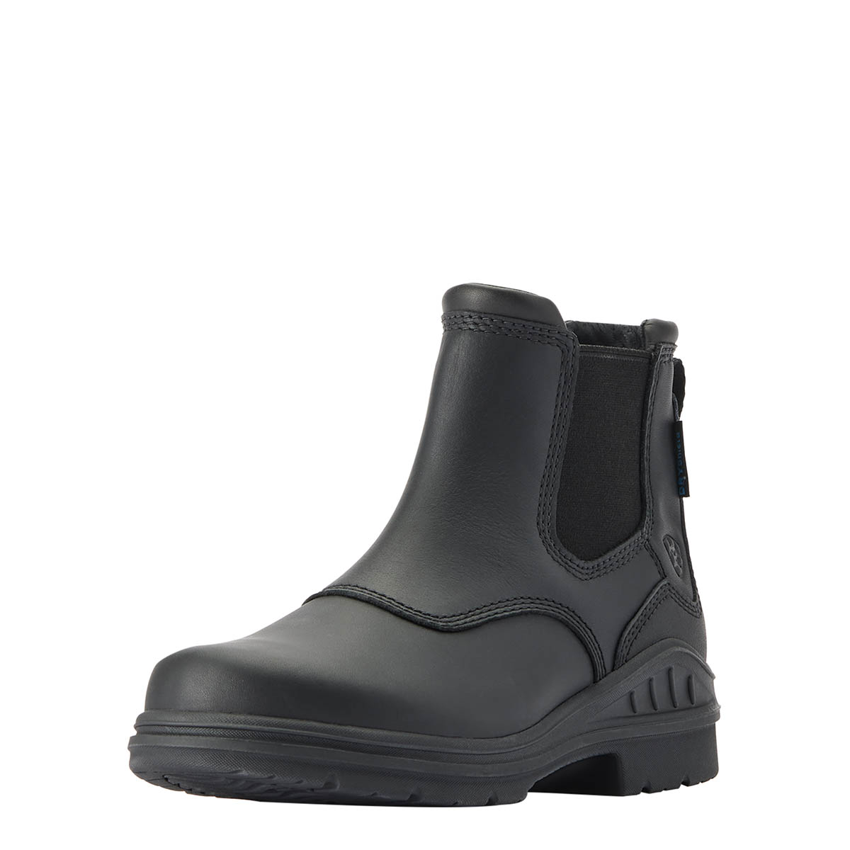 Ariat Stalschoenen Barnyard Twin Gore Ii Zwart - Zwart - 41