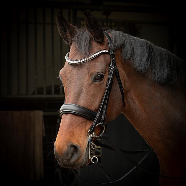 Stang En Trens Harry's Horse Weymouth Soft Crystal Zwart