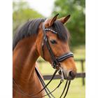 Stang En Trens HB Showtime All You Needed Zwart-blauw