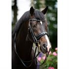 Stang En Trens HB Showtime Special For You Zwart-blauw
