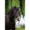 Stang En Trens HB Showtime Special For You Zwart-zwart