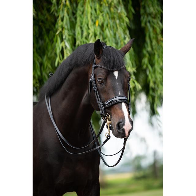 Stang En Trens HB Showtime Special For You Zwart-zwart