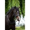 Stang En Trens HB Showtime Special For You Zwart-zwart