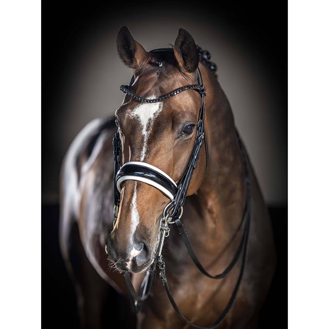 Stang En Trens LeMieux Kudos Zwart-wit