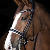 Stang En Trens LJ Leathers Pro Selected Serrena Zwart-wit