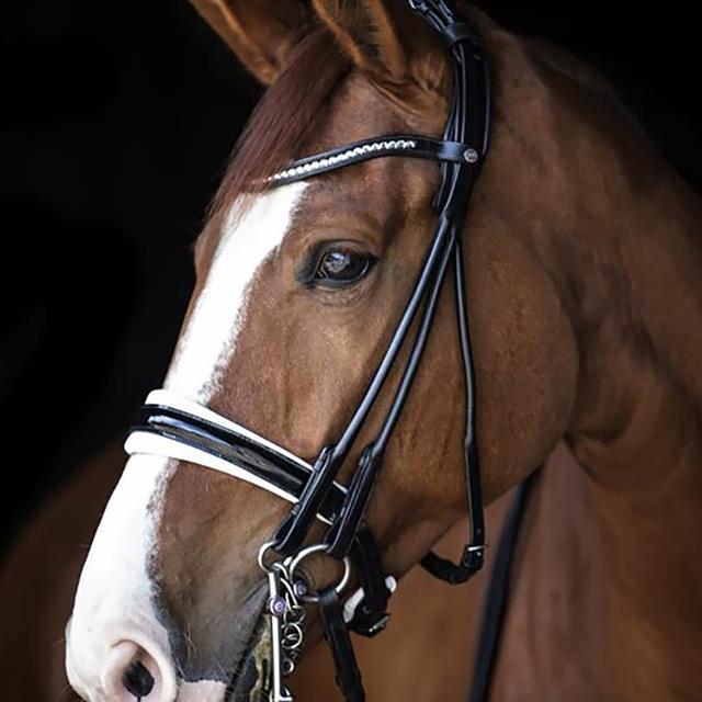 Stang En Trens LJ Leathers Pro Selected Serrena Zwart-wit