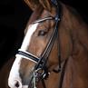 Stang En Trens LJ Leathers Pro Selected Serrena Zwart-wit