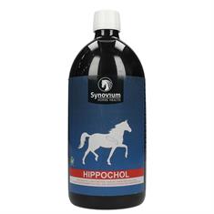 SYNOVIUM HIPPOCHOL Diverse