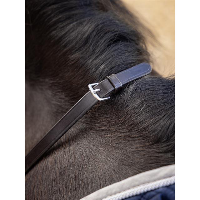 Teugels LeMieux Leather Laced Bruin-zilver