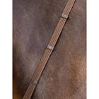 Teugels LeMieux Webbed Continental Bruin-zilver