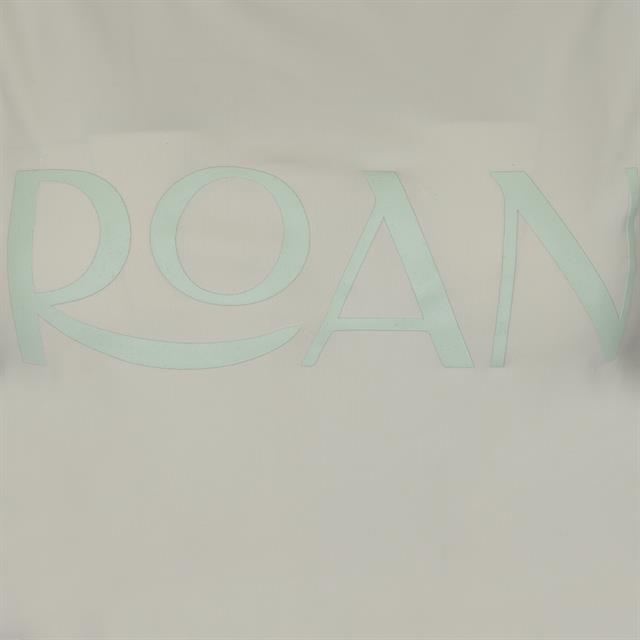 Top ROAN Cycle Four Lichtgroen