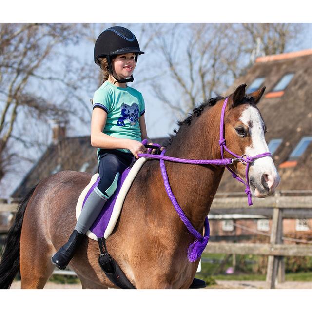 Touwhalster QHP Met Teugels Paars