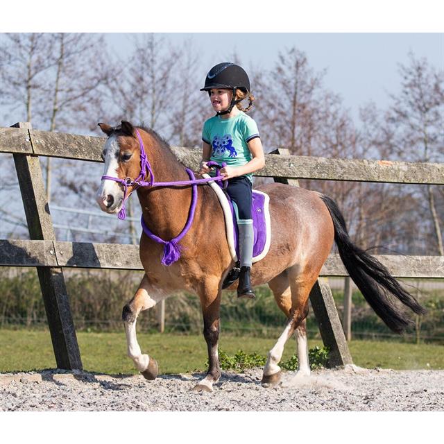 Touwhalster QHP Met Teugels Paars