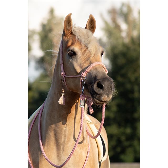 Touwhalsterset Free Horse FHFanna Roze-beige