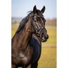 Trainingshoofdstel HORSEGEAR HGWellington Zwart