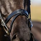Trainingshoofdstel HORSEGEAR HGWellington Zwart