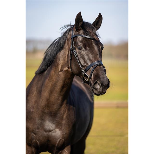 Trainingshoofdstel HORSEGEAR HGWellington Zwart