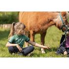 Trainingsshirt Boeffies BQuillian Kids Groen
