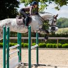 Trainingsshirt Equestrian Stockholm Amaranth Bruin