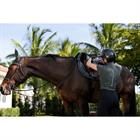 Trainingsshirt Equestrian Stockholm Illusion Avenue Green Donkergroen