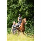 Trainingsshirt Harry's Horse Denici Cavalli Shadow Shortsleeve Bruin-grijs