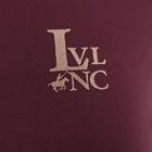 Trainingsshirt La Valencio LVUltima Donkerpaars