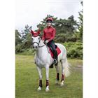 Trainingsshirt LeMieux Young Rider Baselayer Rood