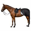 Uitrijdeken Imperial Riding IRHMultiride Winter Zwart