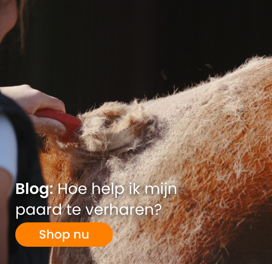 Verharen