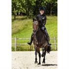 Vest Kingsland Classic Donkerblauw