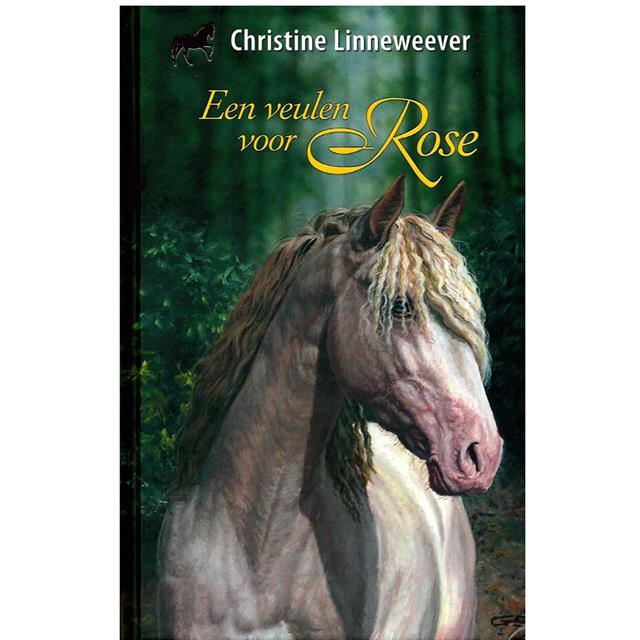 Veulen Voor Rose 