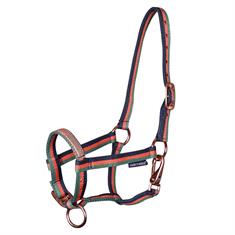 Veulenhalster Harry's Horse Anton Lichtroze