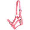 Veulenhalster Horsegear Roze