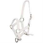Veulenhalster Q-Essentials Mini Wit