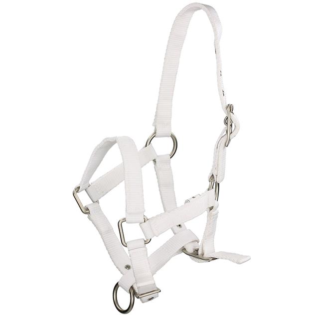Veulenhalster Q-Essentials Mini Wit