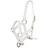 Veulenhalster Q-Essentials Mini Wit