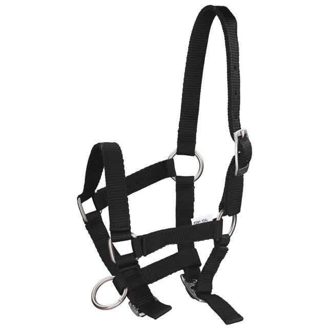 Veulenhalster Q-Essentials Mini Zwart