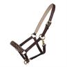 Veulenhalster QHP Lupine Leer Middenbruin-beige