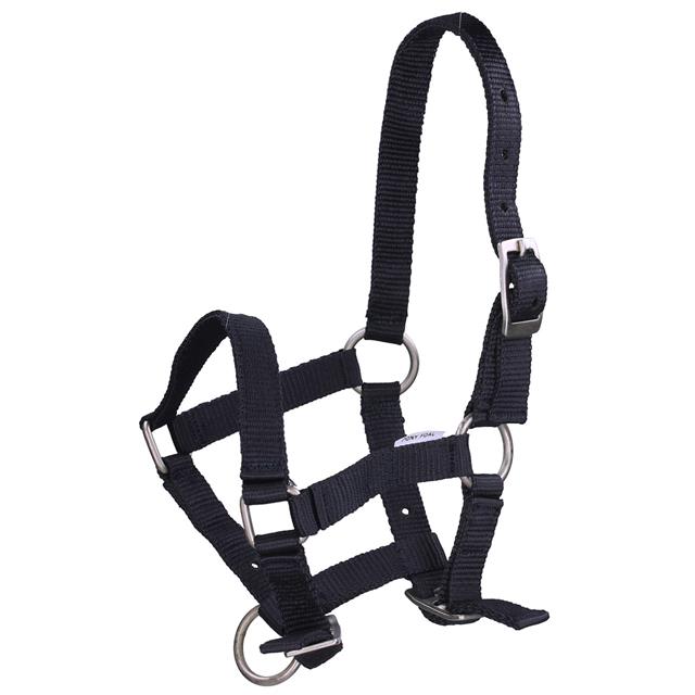 Veulenhalster QHP Mini Donkerblauw