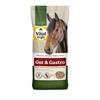 VITALstyle Gut & Gastro 15kg 
