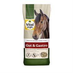 VITALstyle Gut & Gastro 15kg 